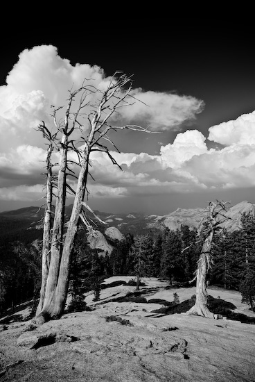 c0157739_651319.jpg