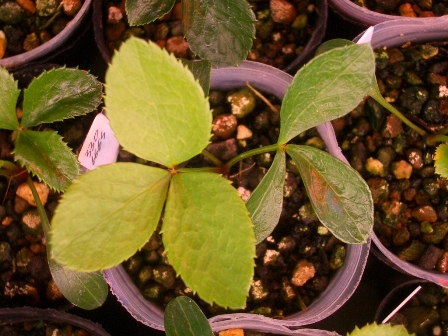 c0025140_2144341.jpg