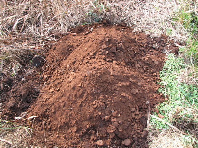 c0127548_20595695.jpg