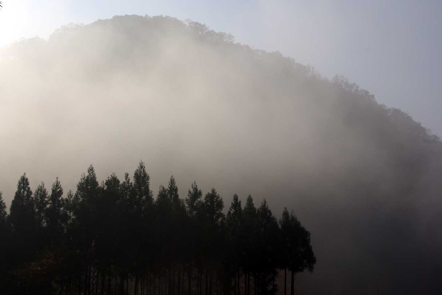 e0019563_17541668.jpg