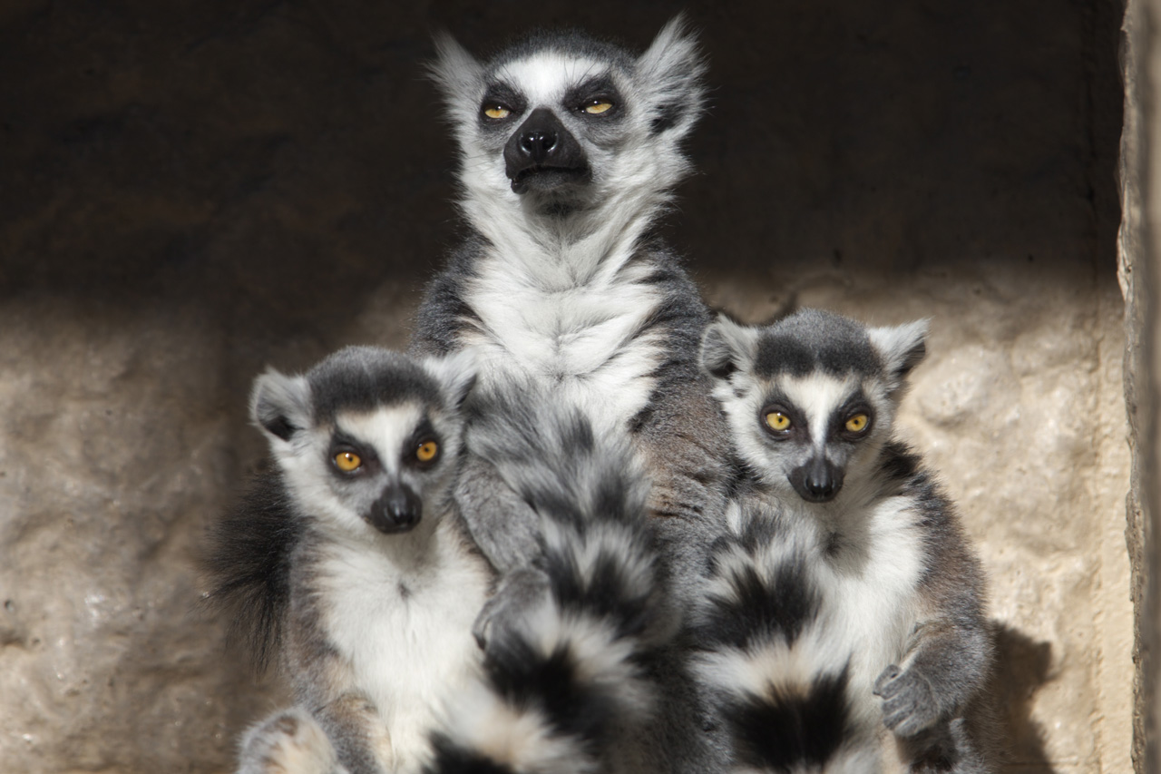 恩賜上野動物園49_e0060169_7133248.jpg