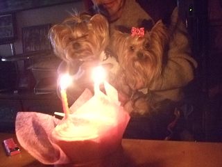 e0120072_2143438.jpg