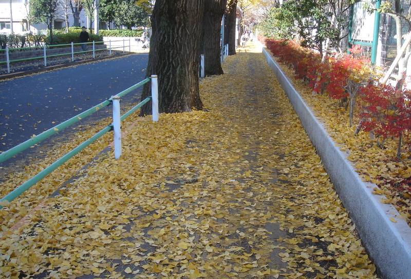毎年のことなのですが。_f0059673_22351159.jpg