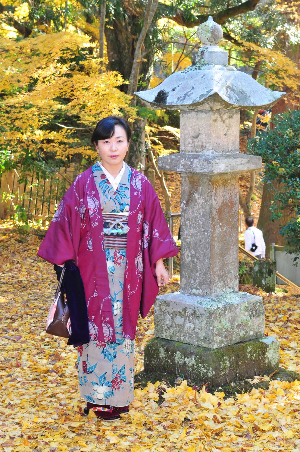 Nikon D300 で撮る「小松寺の紅葉」…房総最後の紅葉_e0071178_513339.jpg