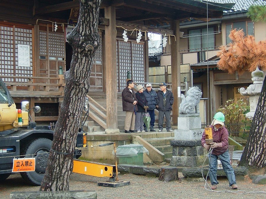 神社の松！_e0065084_0805.jpg