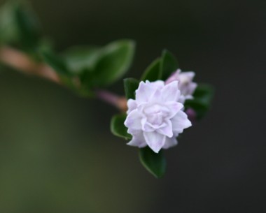 c0144185_03447.jpg