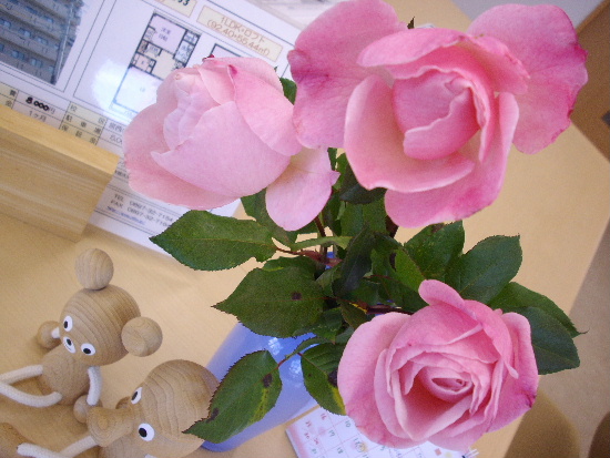 Rose_b0110492_12285960.jpg