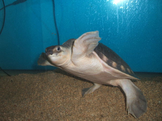 f0065006_221379.jpg