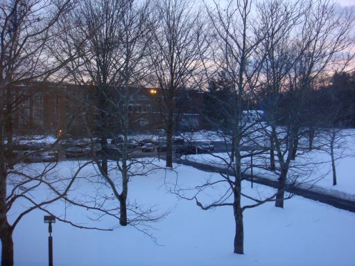 雪の当たり年?_e0101819_1335047.jpg