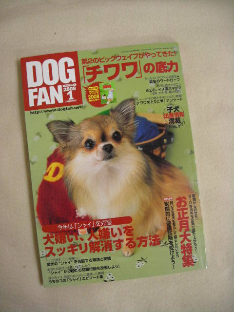 DOG☆ＦＡＮ　！！_c0149622_21384634.jpg