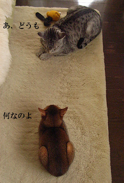 d0081025_17163589.jpg