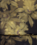 d0048332_0122330.gif