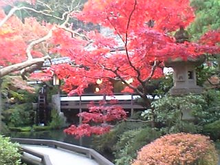c0088437_21172090.jpg