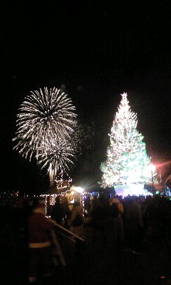 c0102137_2020492.jpg