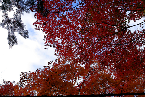 a0024250_22474314.jpg