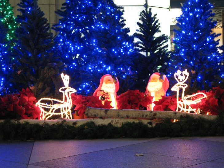 f0152550_22324436.jpg