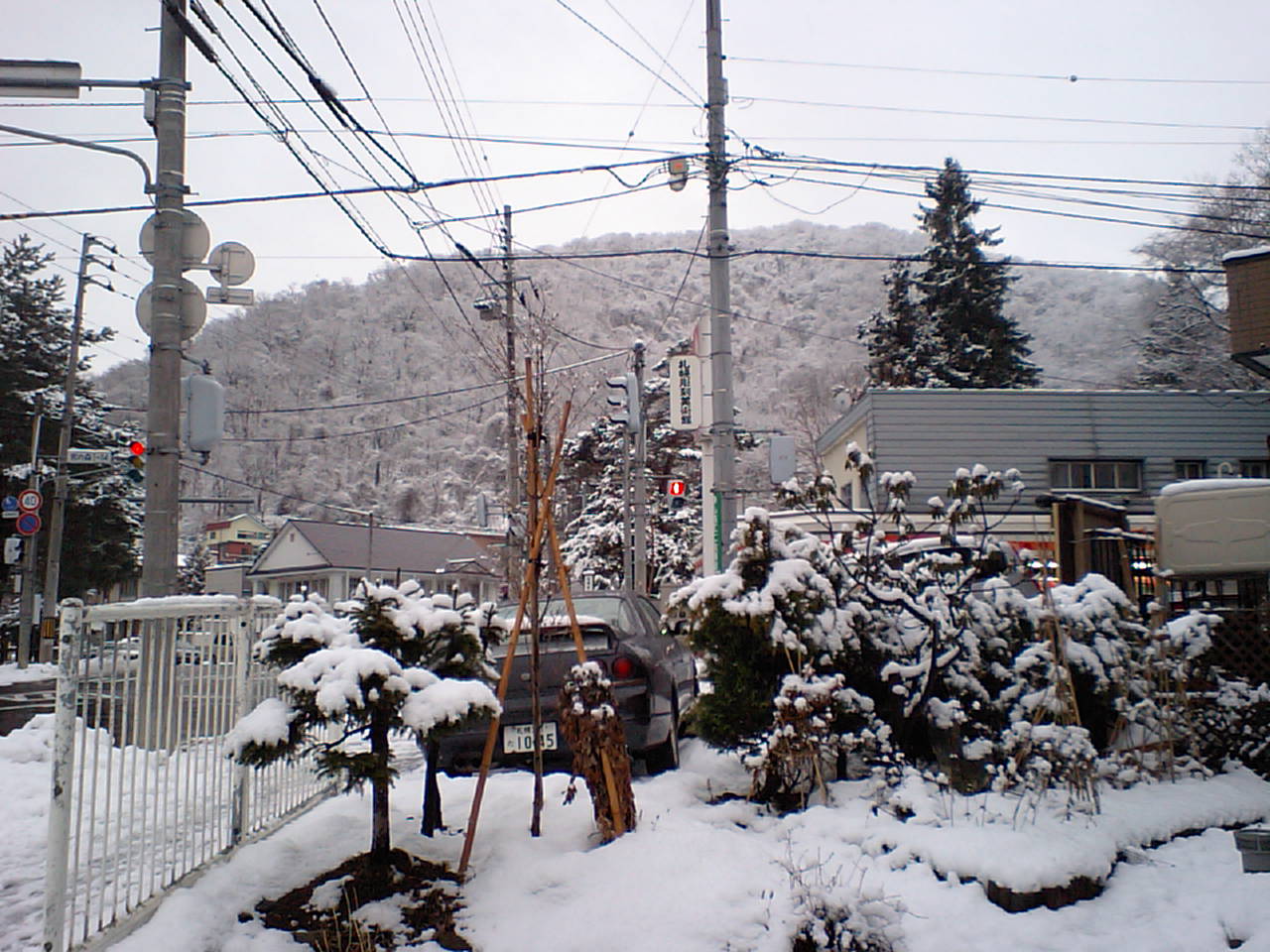 d0098665_18411384.jpg