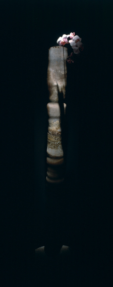 c0089974_8161391.jpg