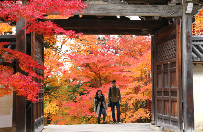 京都洛西・嵯峨野の紅葉_e0070877_106489.jpg