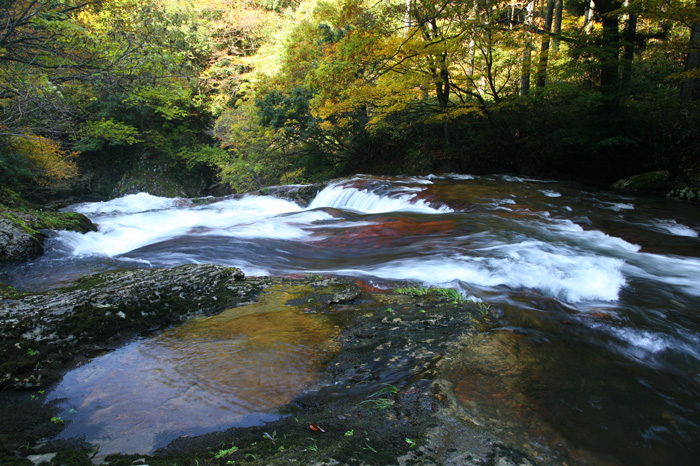 福井県・竹田川渓谷の紅葉_e0070877_8572551.jpg