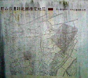 a0087378_4514915.jpg