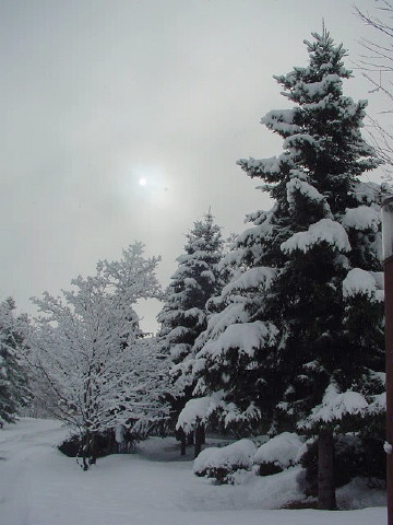 c0104378_21067.jpg