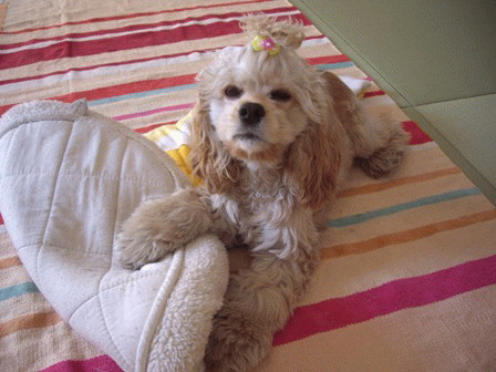 c0128303_23838.gif