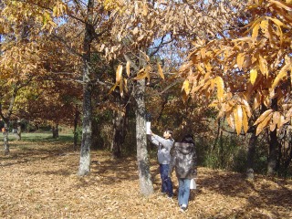 c0052304_16134742.jpg