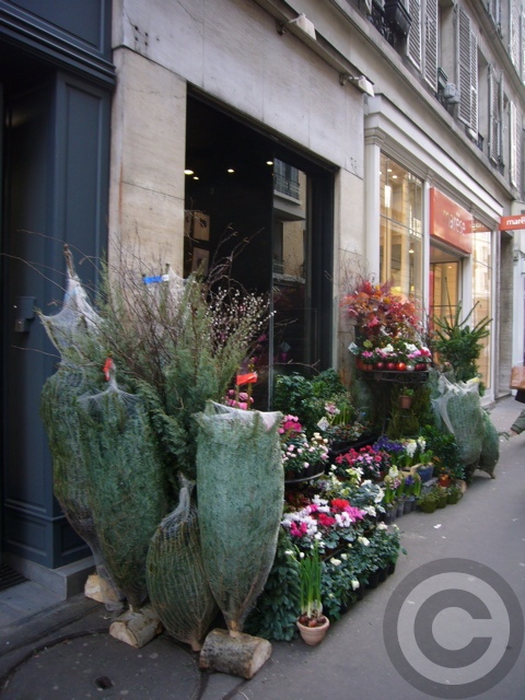 ■街角の花屋（パリ）_a0008105_9194032.jpg