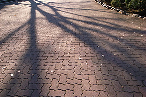 b0117406_16172742.jpg