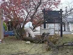 e0093407_19394533.jpg