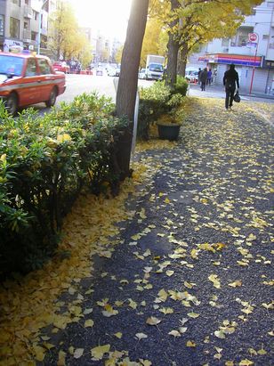 e0016412_22122171.jpg