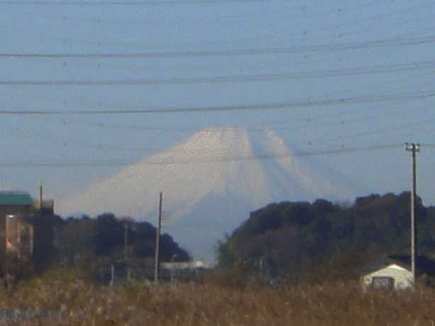 f0090516_12581212.jpg