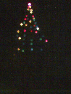c0104821_040135.jpg