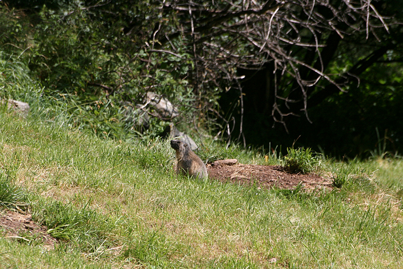 d0054625_20531726.jpg
