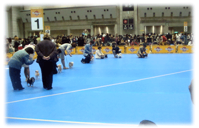 b0078030_21522688.gif