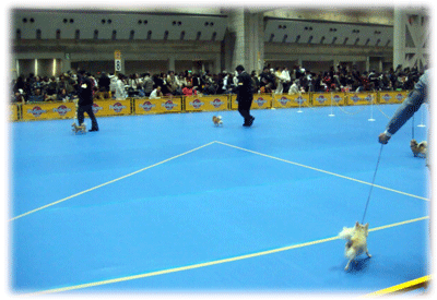 b0078030_21533264.gif