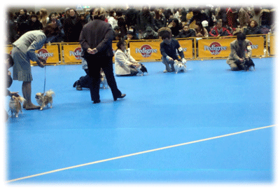 b0078030_21541516.gif