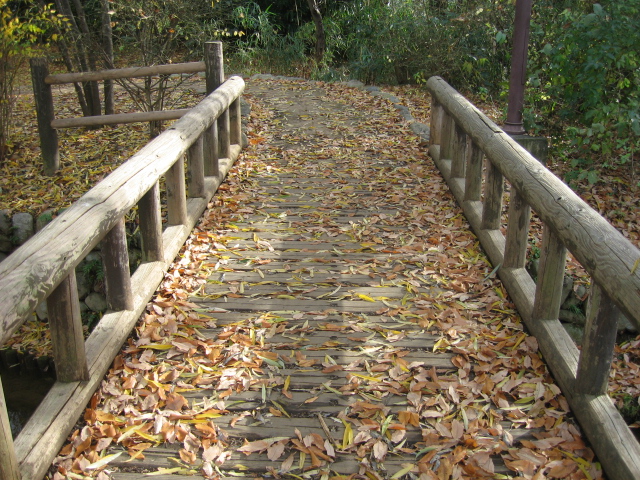 b0088037_20312854.jpg
