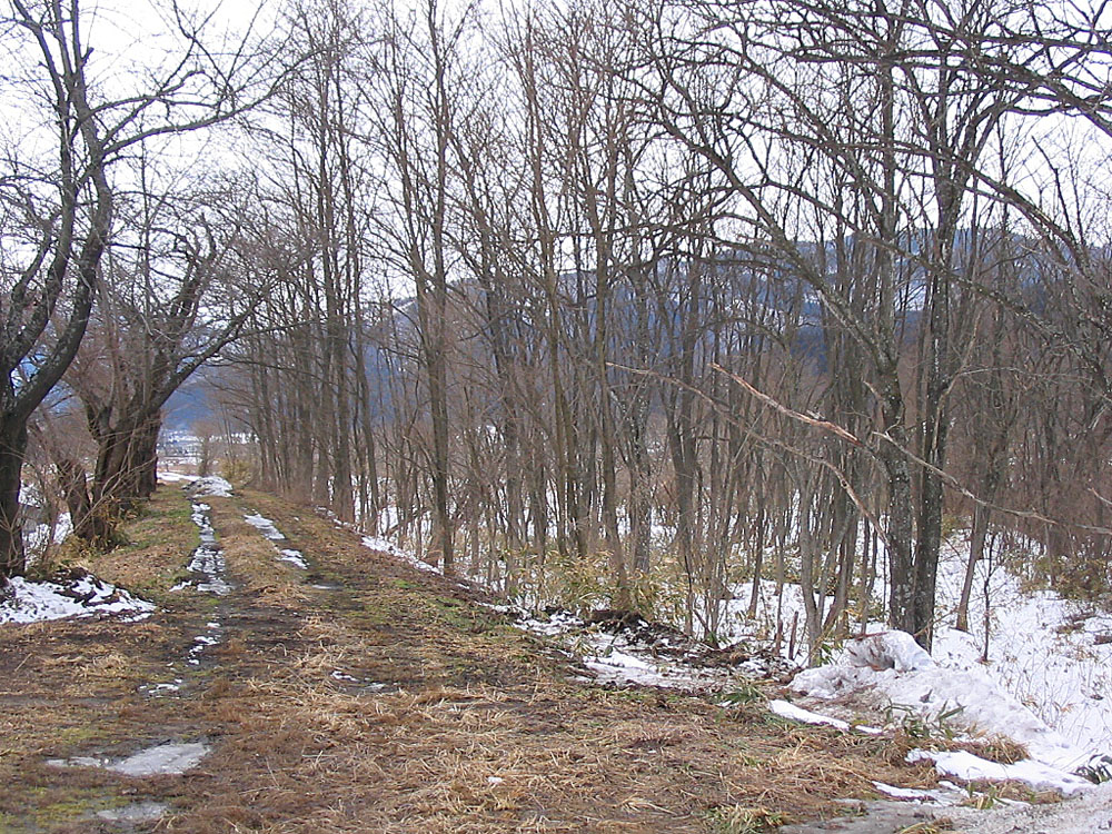 雪の綾織路～我ヶ丸あたり_d0001843_2055743.jpg