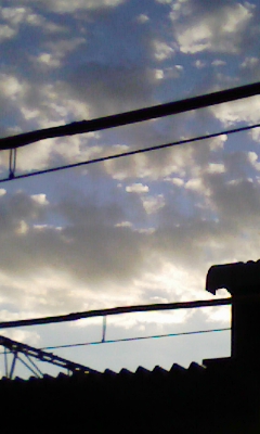 c0142045_20524094.jpg