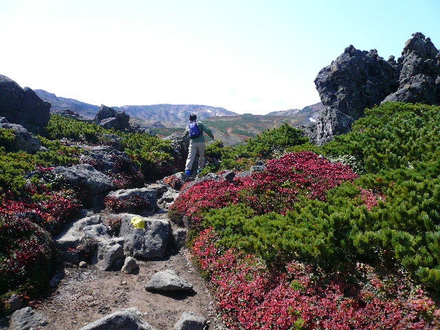 大雪山で紅葉トレッキング～その先の黒岳へ_c0110550_111067.jpg