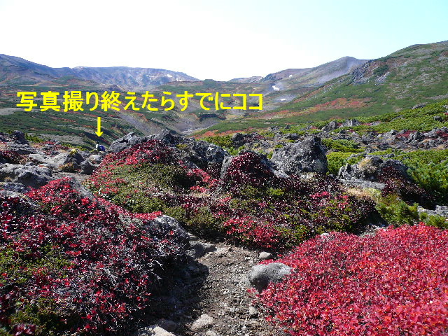 大雪山で紅葉トレッキング～その先の黒岳へ_c0110550_175253.jpg