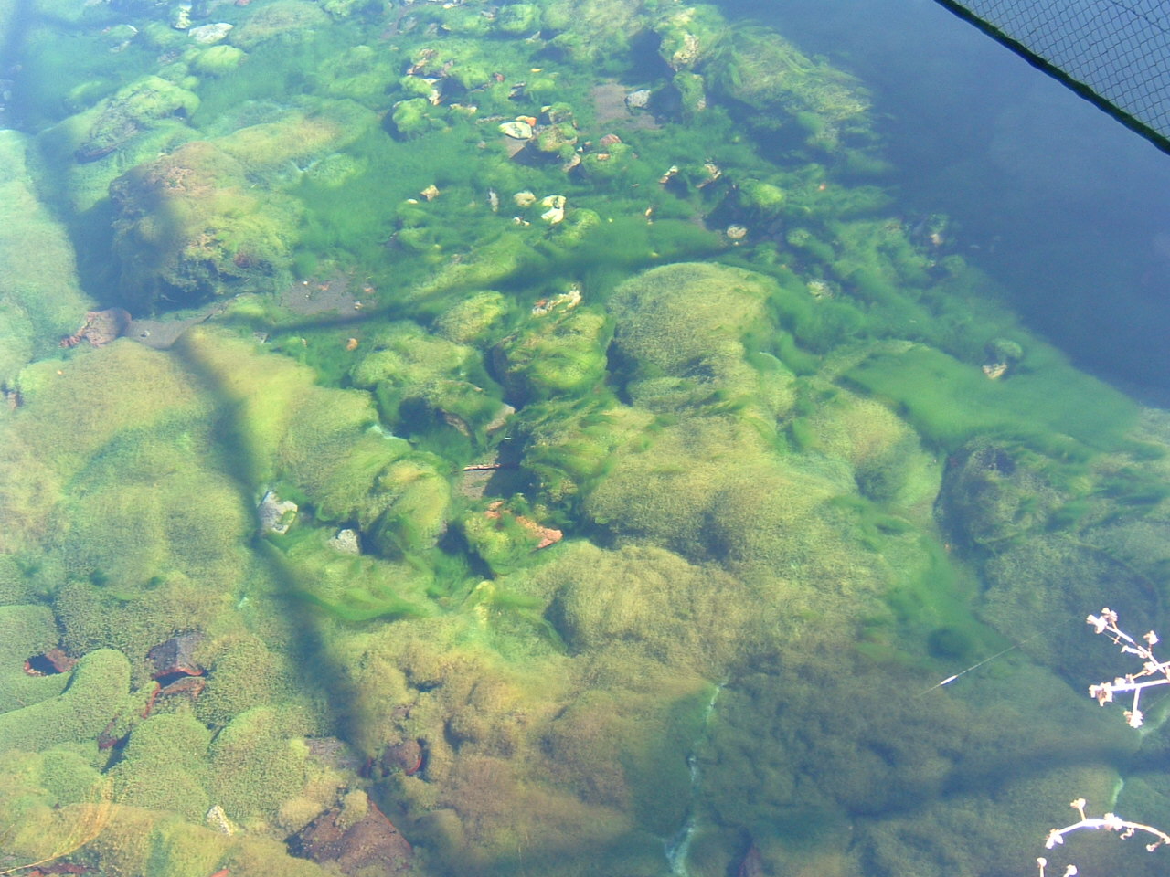 c0030954_13161727.jpg