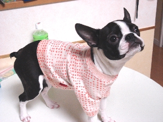 d0089157_0455269.jpg
