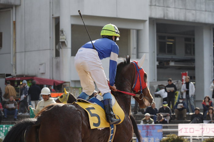 小林靖幸騎手、高知競馬初勝利!!_a0077663_18365423.jpg