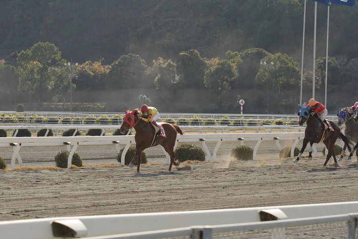 小林靖幸騎手、高知競馬初勝利！！_a0077663_18372051.jpg