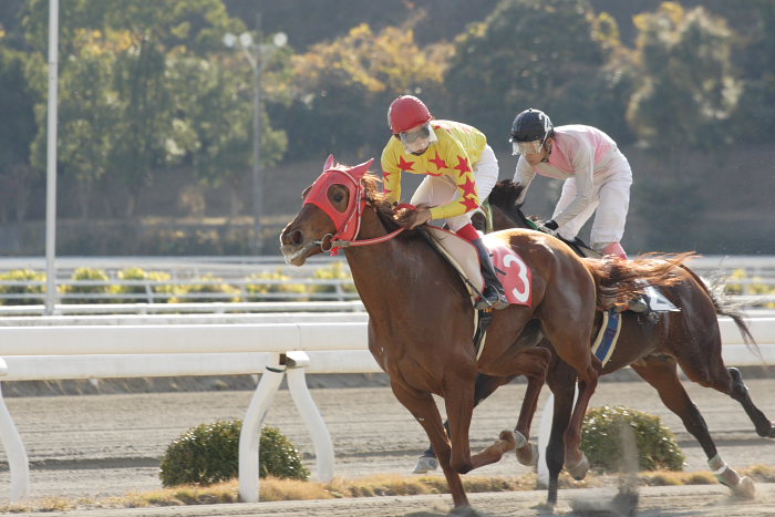 小林靖幸騎手、高知競馬初勝利！！_a0077663_183726.jpg