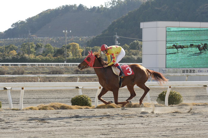 小林靖幸騎手、高知競馬初勝利！！_a0077663_18372959.jpg
