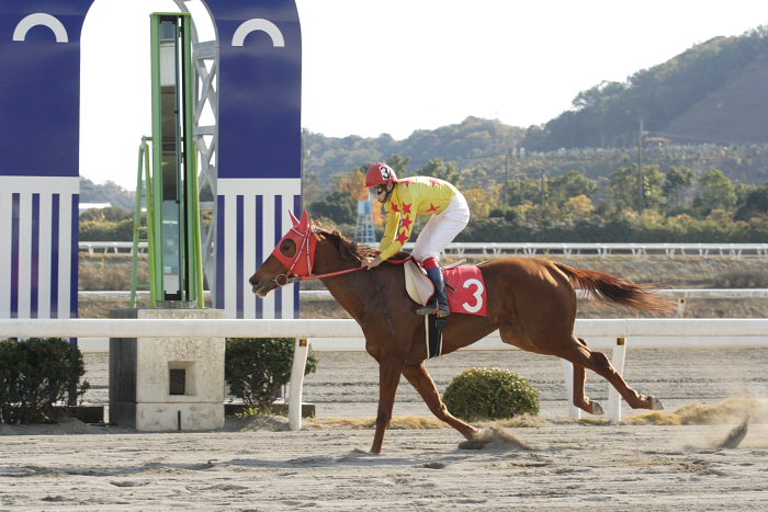 小林靖幸騎手、高知競馬初勝利!!_a0077663_1837388.jpg